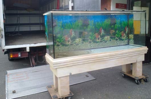 Moving house with fish