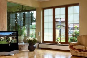 Cheap house windows