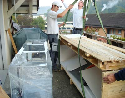 Moving a fish tank in London